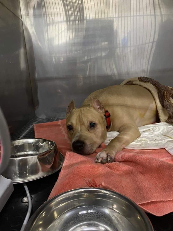 041EFF74-068C-4ABF-9AC3-7553EA907808