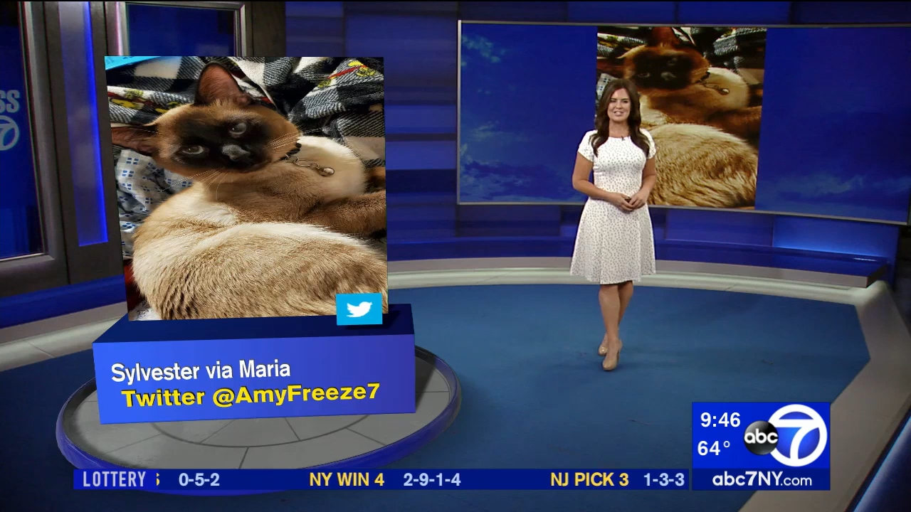 13 June - 14.00.00 - Eyewitness News This Morning..ts_snapshot_00.48.04.410