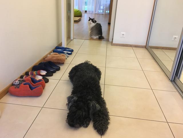 BFDF070_E-1_BE0-401_B-88_F1-9607_A587428