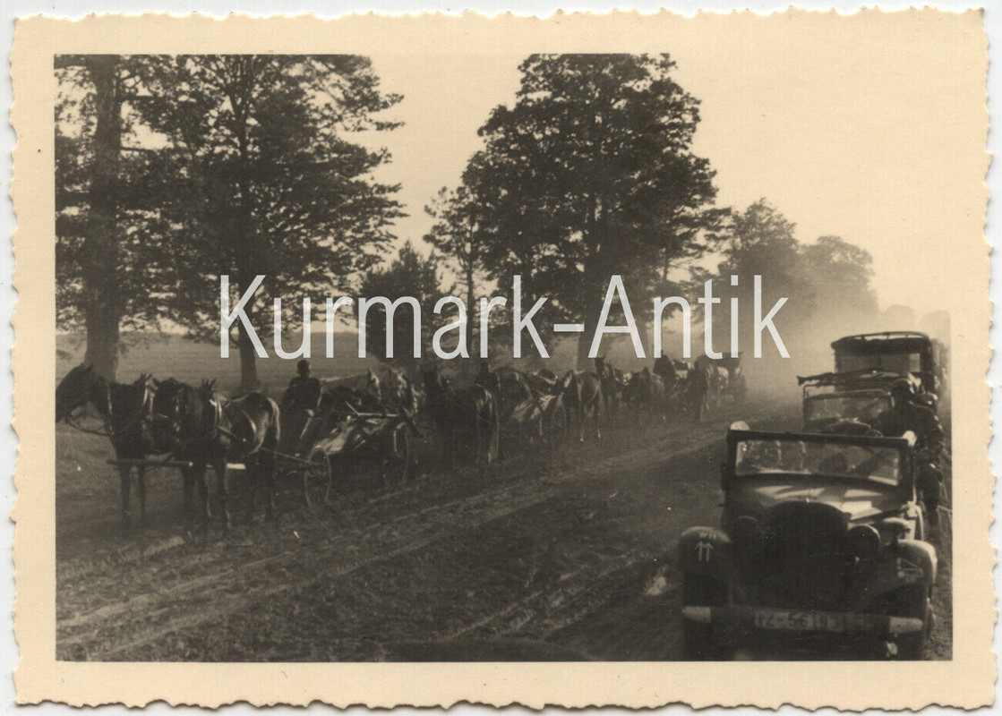 Foto Wehrmacht Panzer Jäger Russland PKW LKW Emblem Wappen