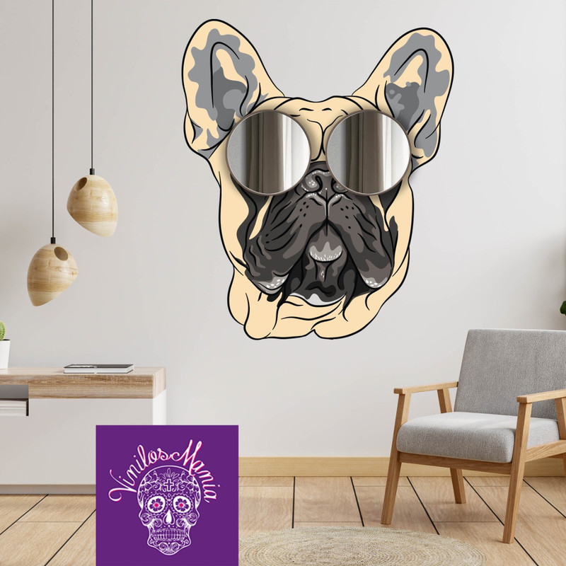 Perro con espejos