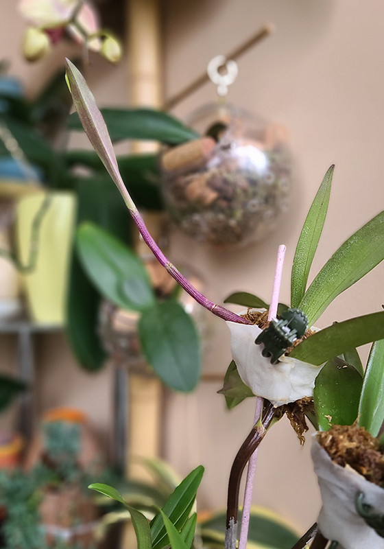 [Image: 20231230-103340.jpg]