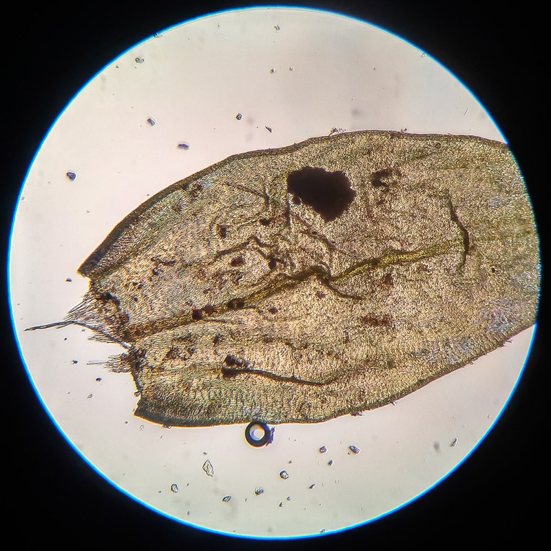 IMG 20250616 210517 HDR