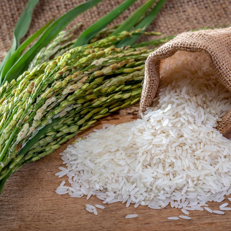 Rice