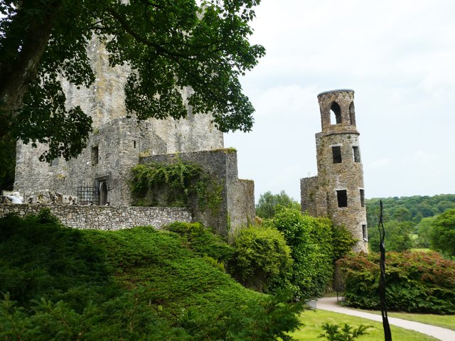 10 días por Irlanda en verano de 2024 - Blogs de Irlanda - DÍA 5 – Castillo Blarney – Parque Nacional Killarney (3)