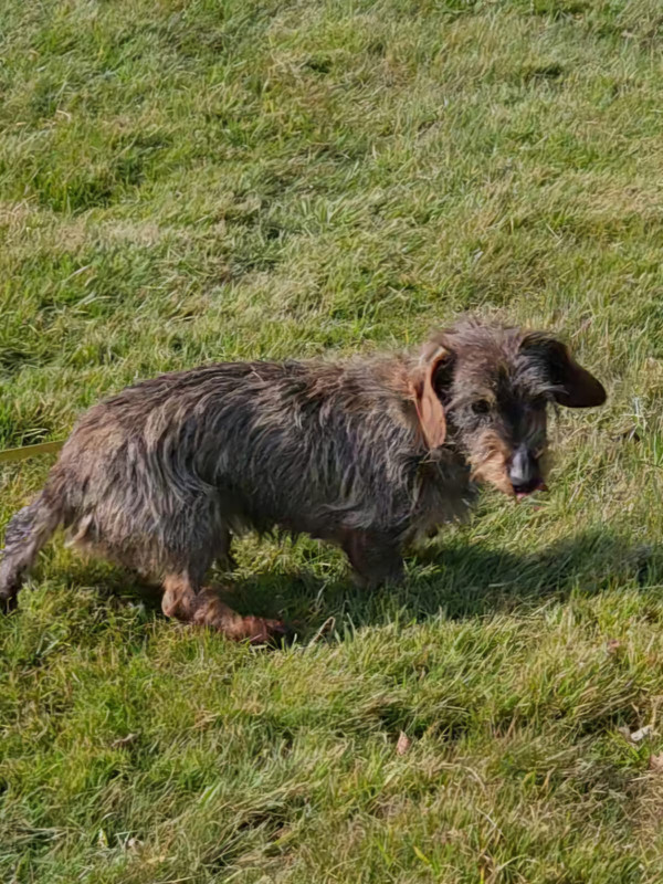 [Image: IMG-20250319-WA0012.jpg]