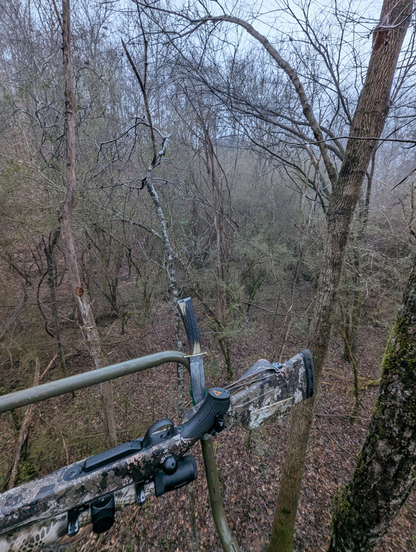 PXL 20260117 125839799