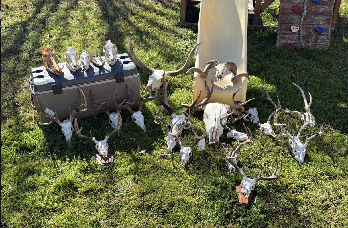 Screen Shot 2025-02-01 at 10.37.31 AM