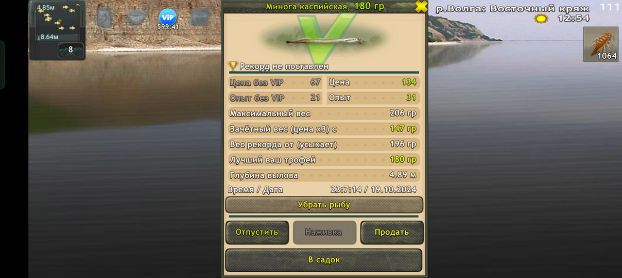 Screenshot-2024-10-19-23-07-21-84-fa28ee