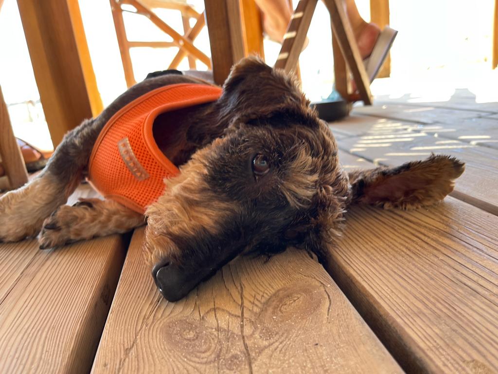 [Image: fb975333-7fa4-4549-ac5b-876d0b77df86.jpg]