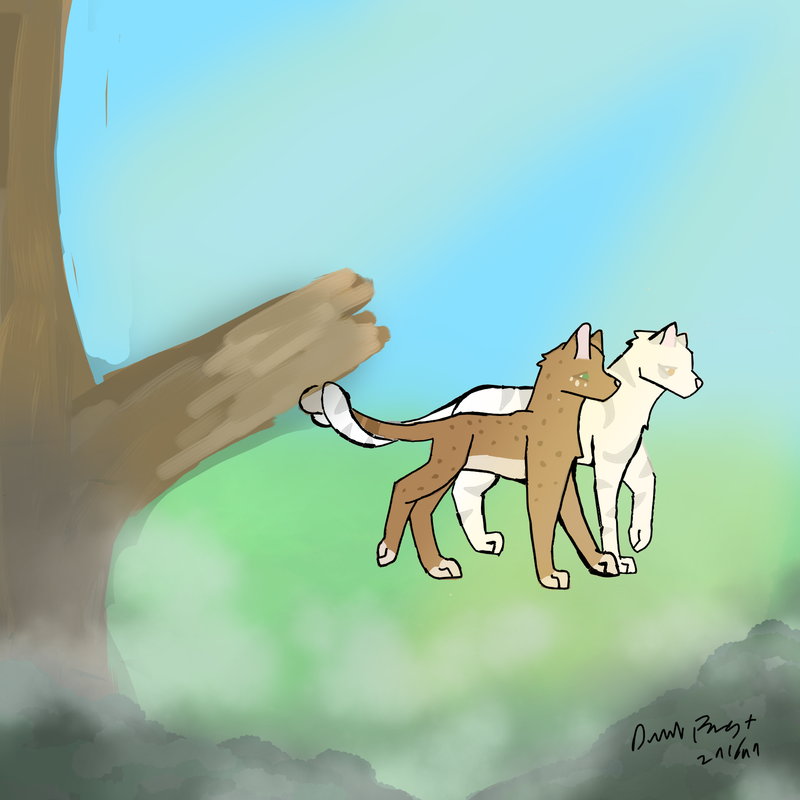 IMG-0436.png