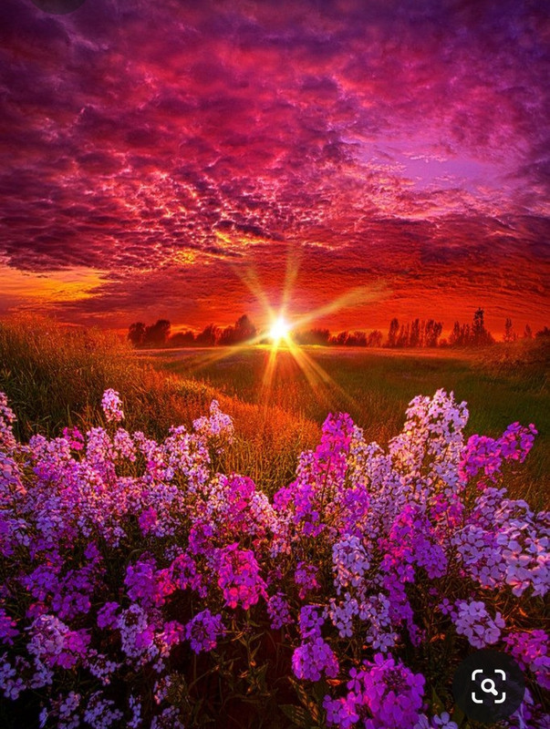 Screenshot_20230719_000531_Pinterest