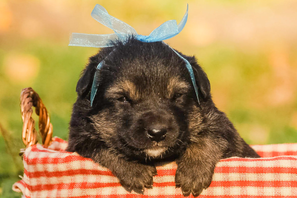 5E72795D-F5F4-4AFD-B3FD-7BE56D7436DC