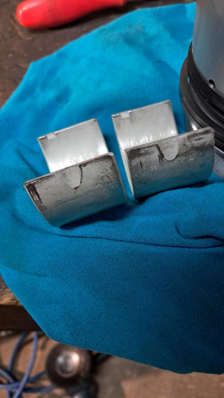 14a50e69 b191 4f4b 8fca 642c1f8e8556