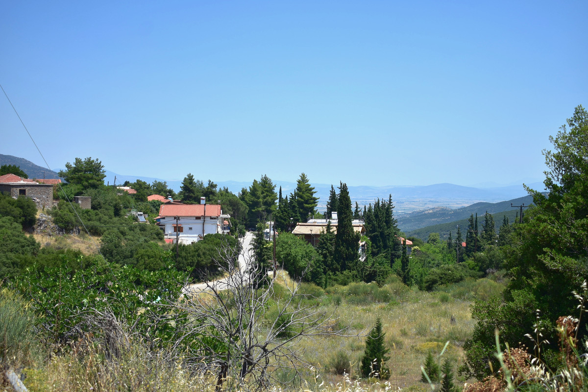 Αγία Τριάδα (4)