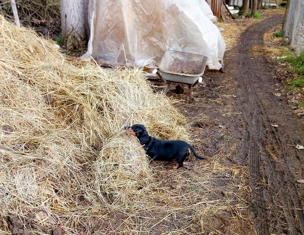 [Image: Balad10.jpg]