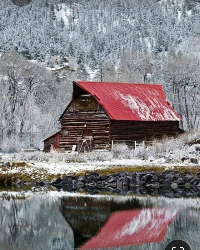 Screenshot_20230412_194025_Pinterest