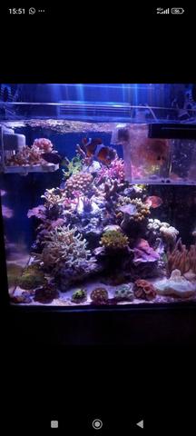 Screenshot 2026 01 16 15 51 08 351 com facebook katana