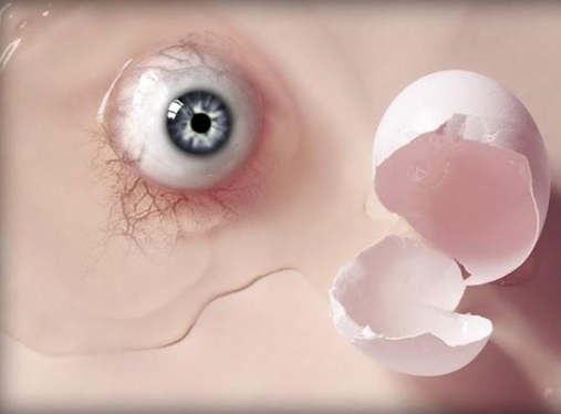 stunts-in-photo-manipulations04.jpg