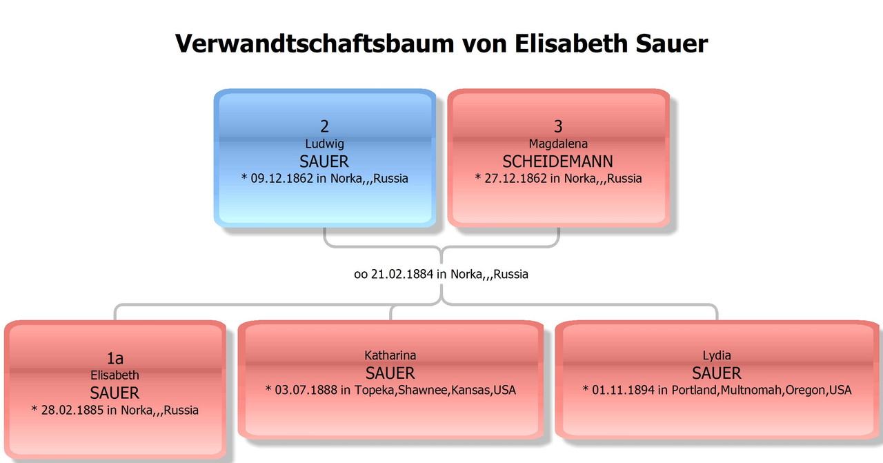 Sauer Elisabeth