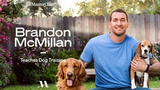 Brandon McMillan Teaches Dog Training