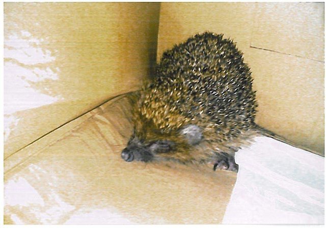 received_1845839522376139