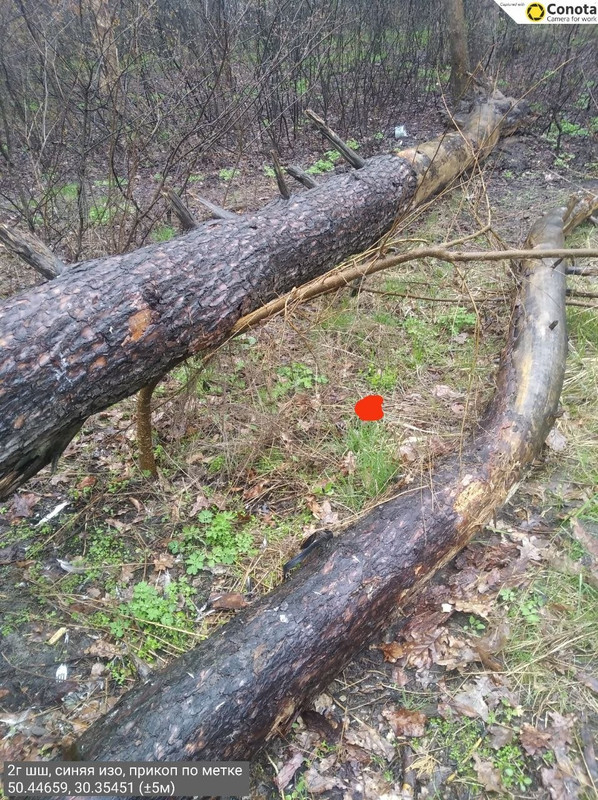 photo 2026 04 11 05 24 50
