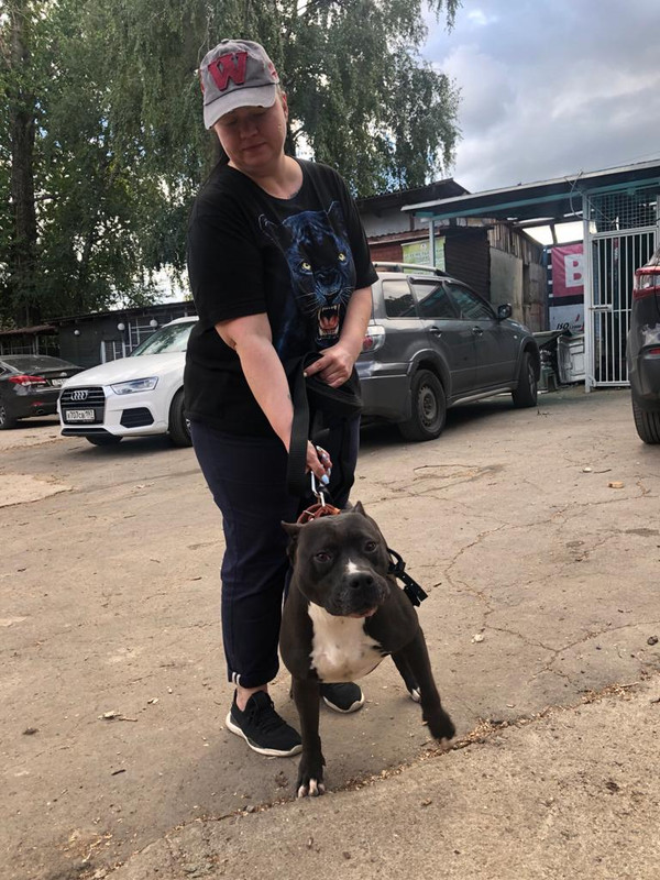 9031A978-7E79-43CF-BB91-A0671B6B6B60