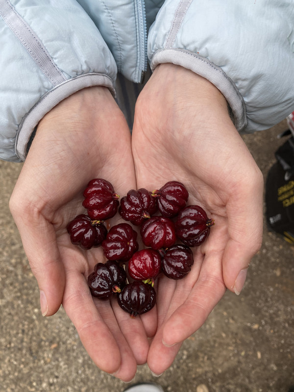 A98D5F28-F548-40AD-BAFB-7337C289782D