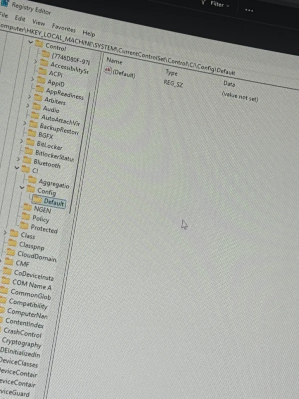 Registry editor config