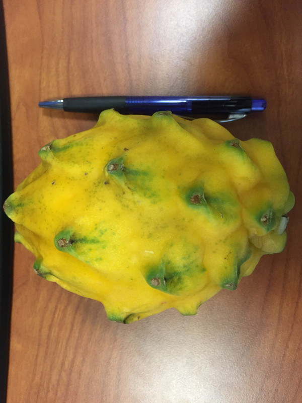 C619BE51-5D77-41BA-82DB-F1000E26F1CE