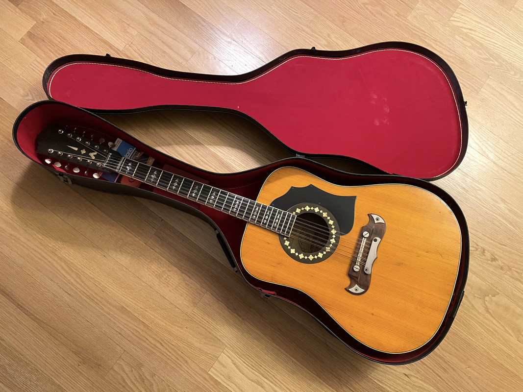 12 string acoustic guitar case sale