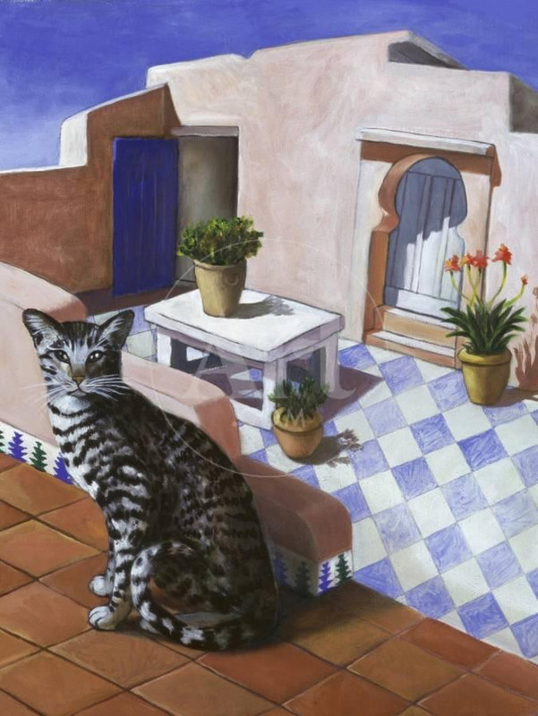 cat-of-morocco-chat-du-maroc_u-L-Q1HAWCD0