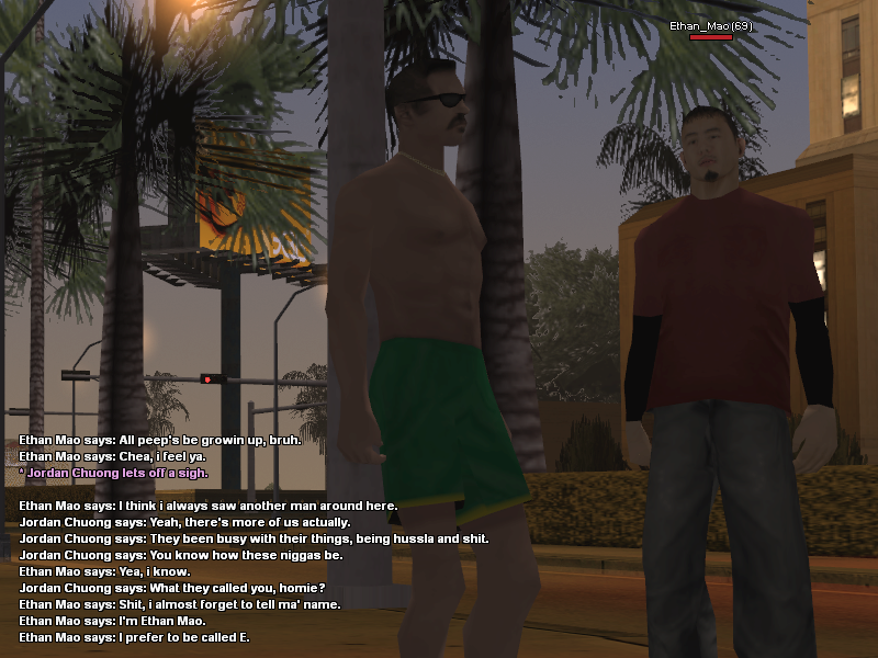ss14.png