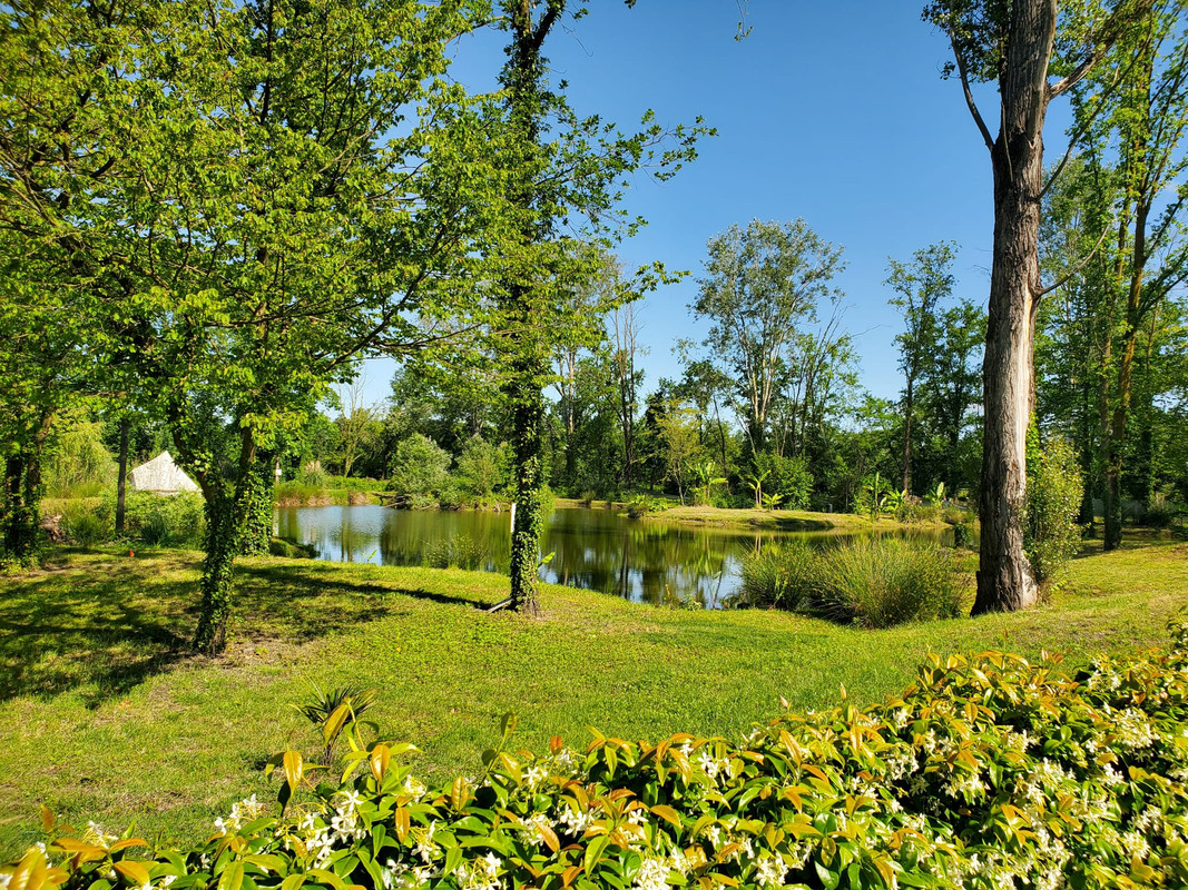 Vista del lago River Monsters