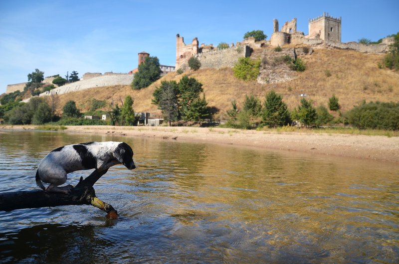 PLAYA DE ESCALONA-25-9-2016-TOLEDO - Paseando por España-1991/2016 (11)