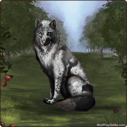 Absence-CHimera-Pic.jpg