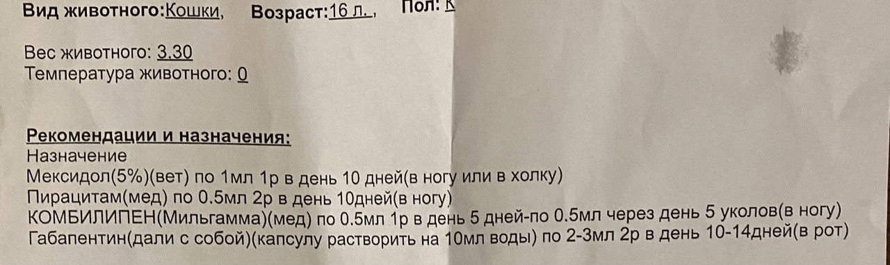 E5F02748-A8E0-4D43-A2A9-FA13D3025BE3