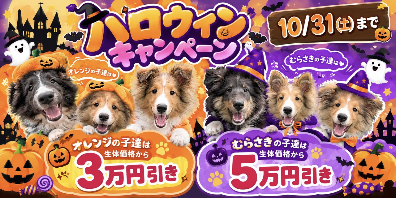 ハロウィンキャンペーン