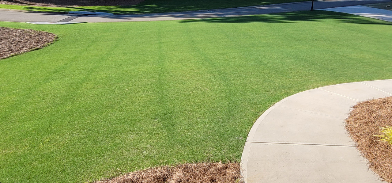 Screenshot_20210622-204552_Gallery