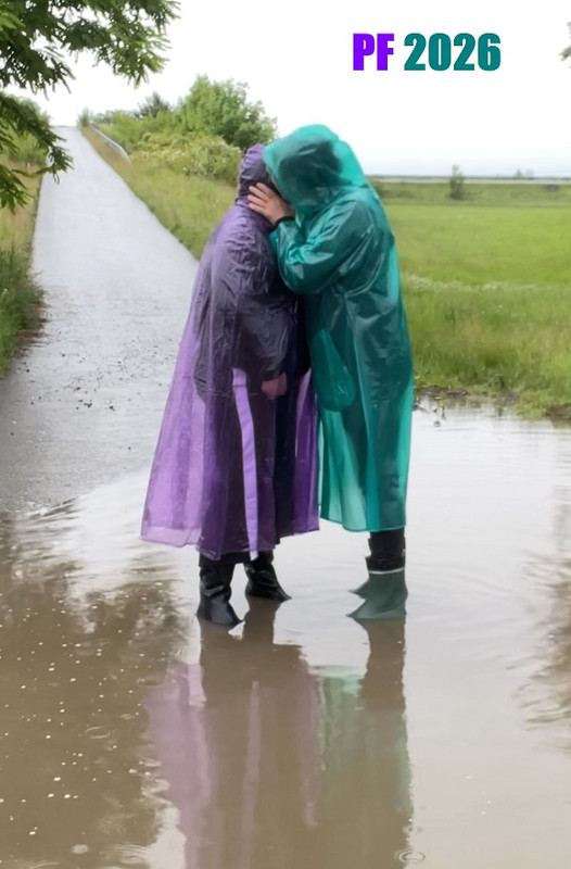 PF 2026
