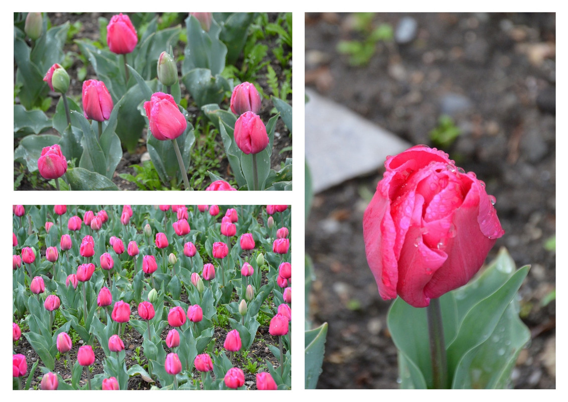 Новый коллаж.jpg 17