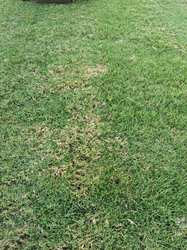 PXL_20200804_211554895.MP