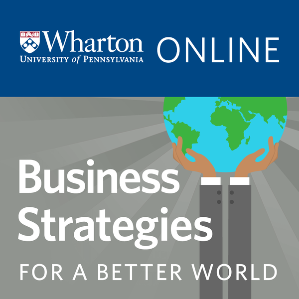 Coursera - Business Strategies for A Better World Specialization