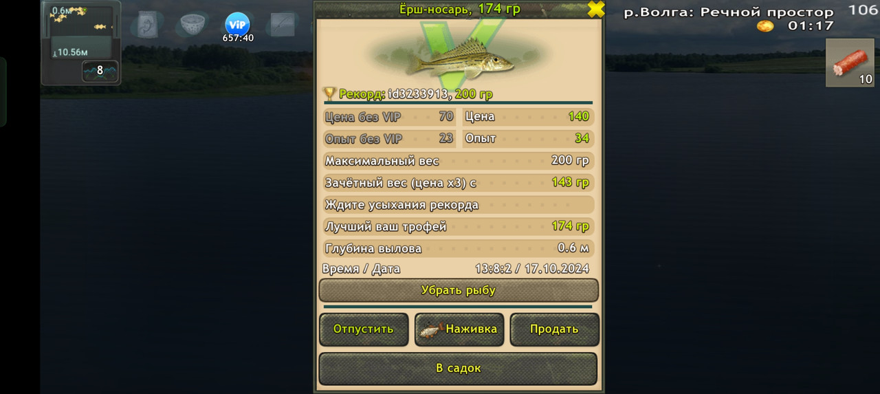 Screenshot-2024-10-17-13-08-06-84-fa28ee