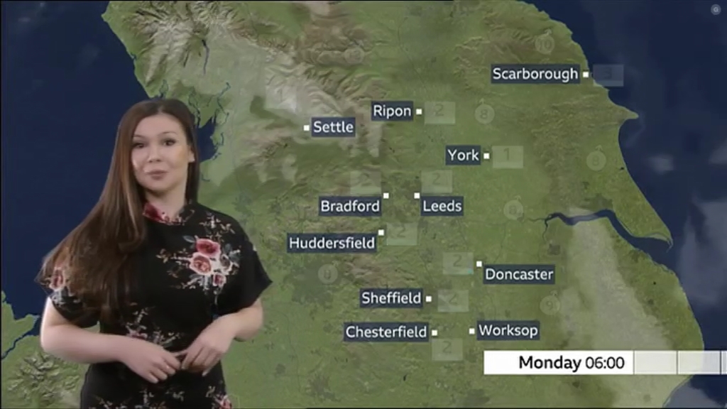 Look North (Yorkshire) 2022_03_13_17_20_00.ts_snapshot_10.04.509