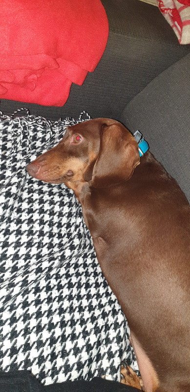 [Image: 20200620-221218.jpg]