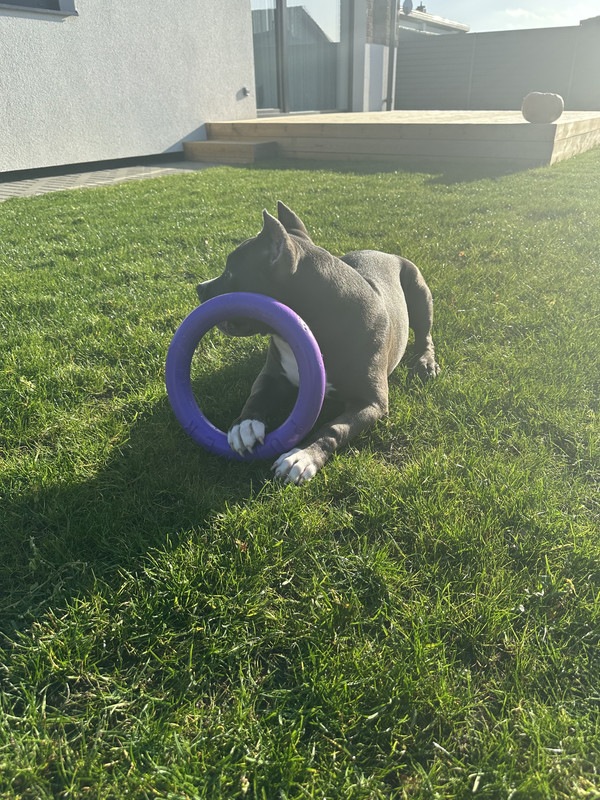 EFC6BADD-7673-4F86-B7C8-896CCA85CEC8