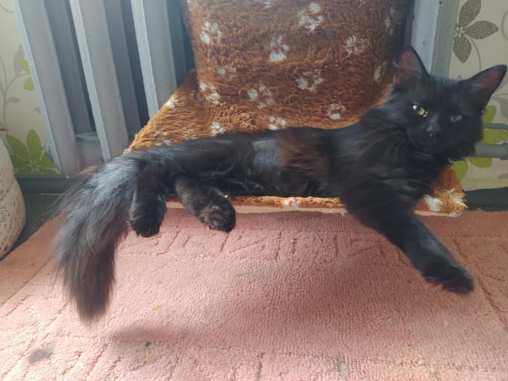 7149740E-8029-40A2-8DA8-B94DD27FD9C8