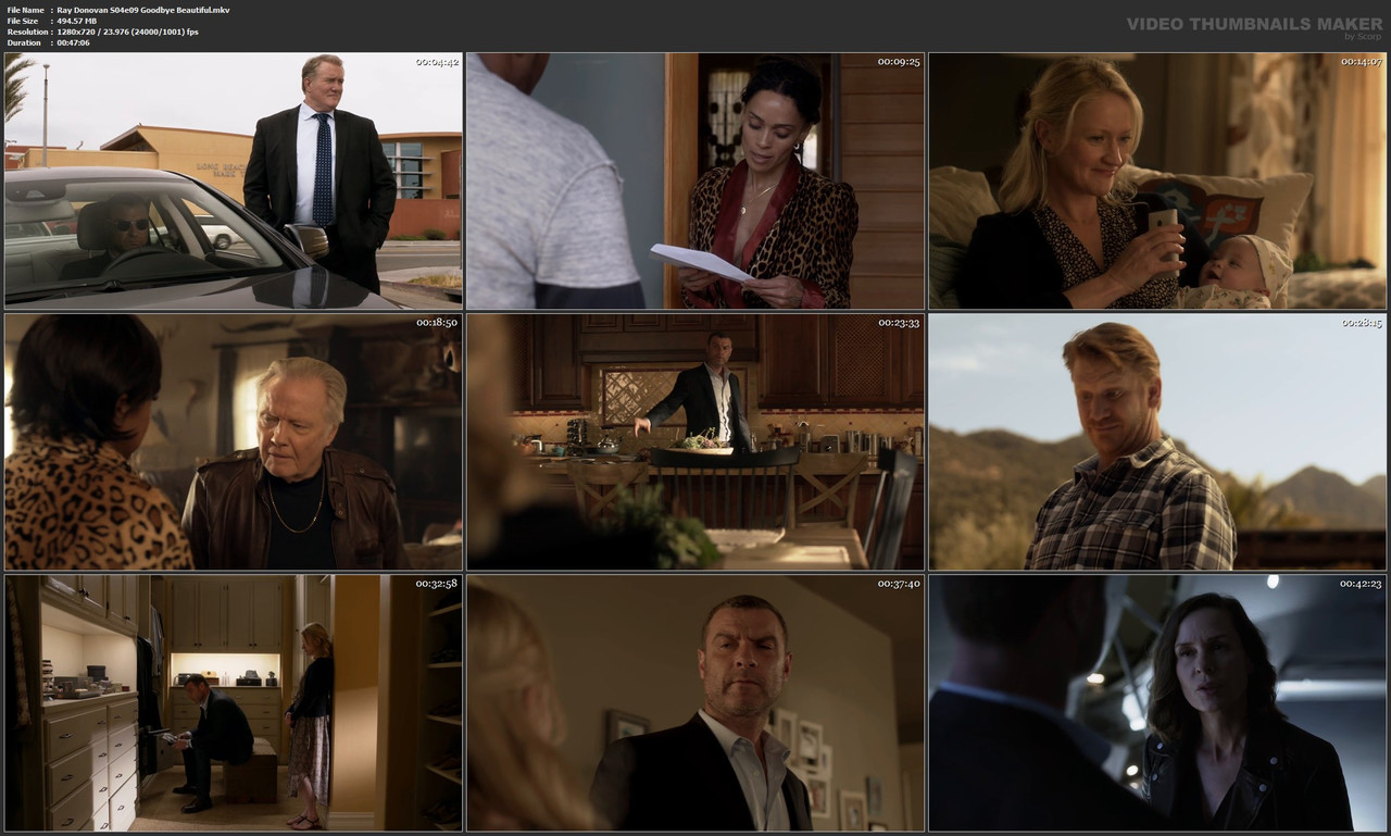 Ray Donovan S04e09 Goodbye Beautiful.mkv
